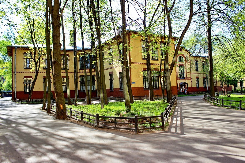 saint-petersburgstatepediatricmedicaluniversity